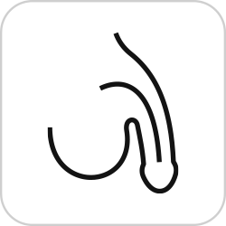 ���̿���